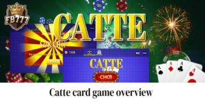 Catte card game overview