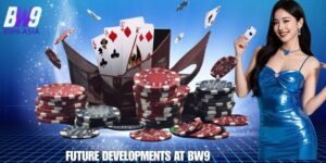 Future Developments at BW9