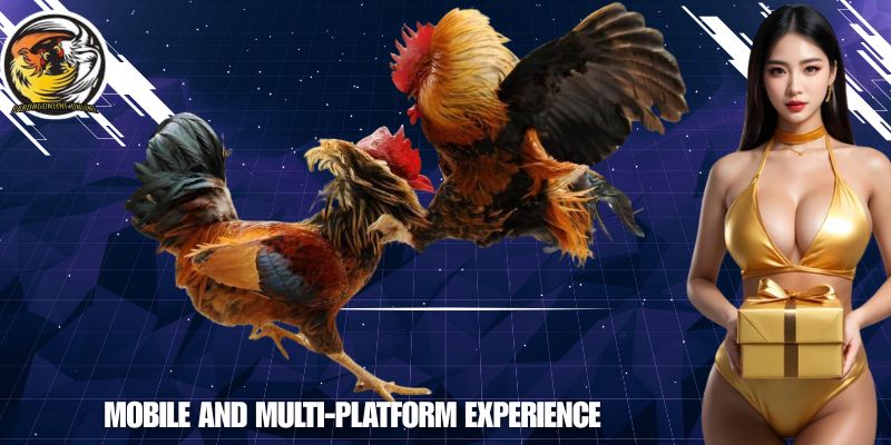 Mobile and Multi-Platform Experience