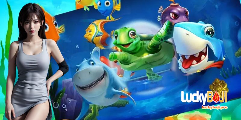 FAQs about Luckybaji Fishing - Your Questions Answered